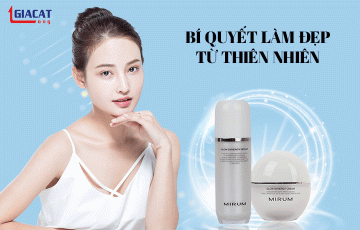Lĩnh Vực Kinh Doanh
